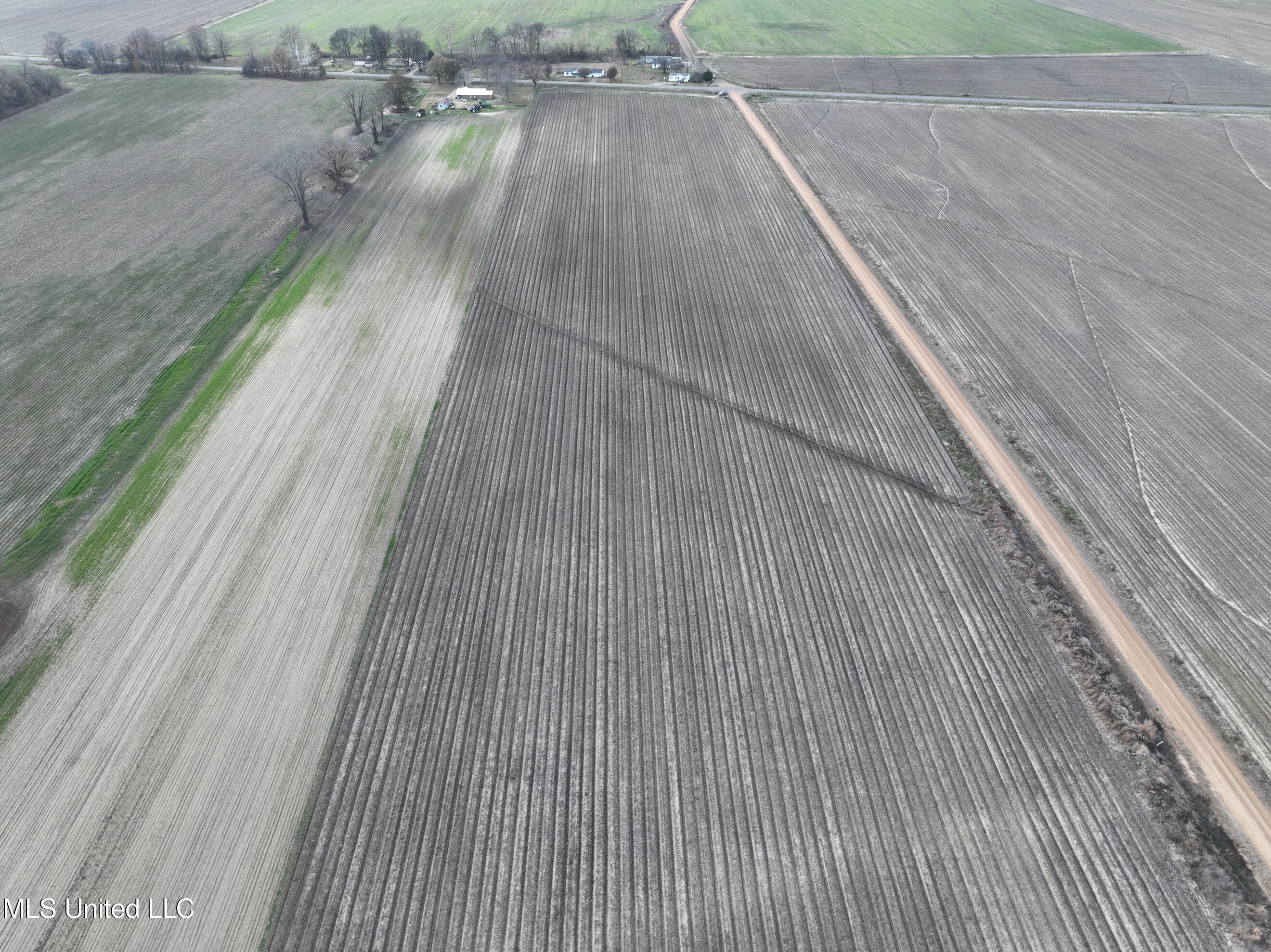 Bass Road Louise, MS 39097 - Photo 8 of 9 DJI_0144