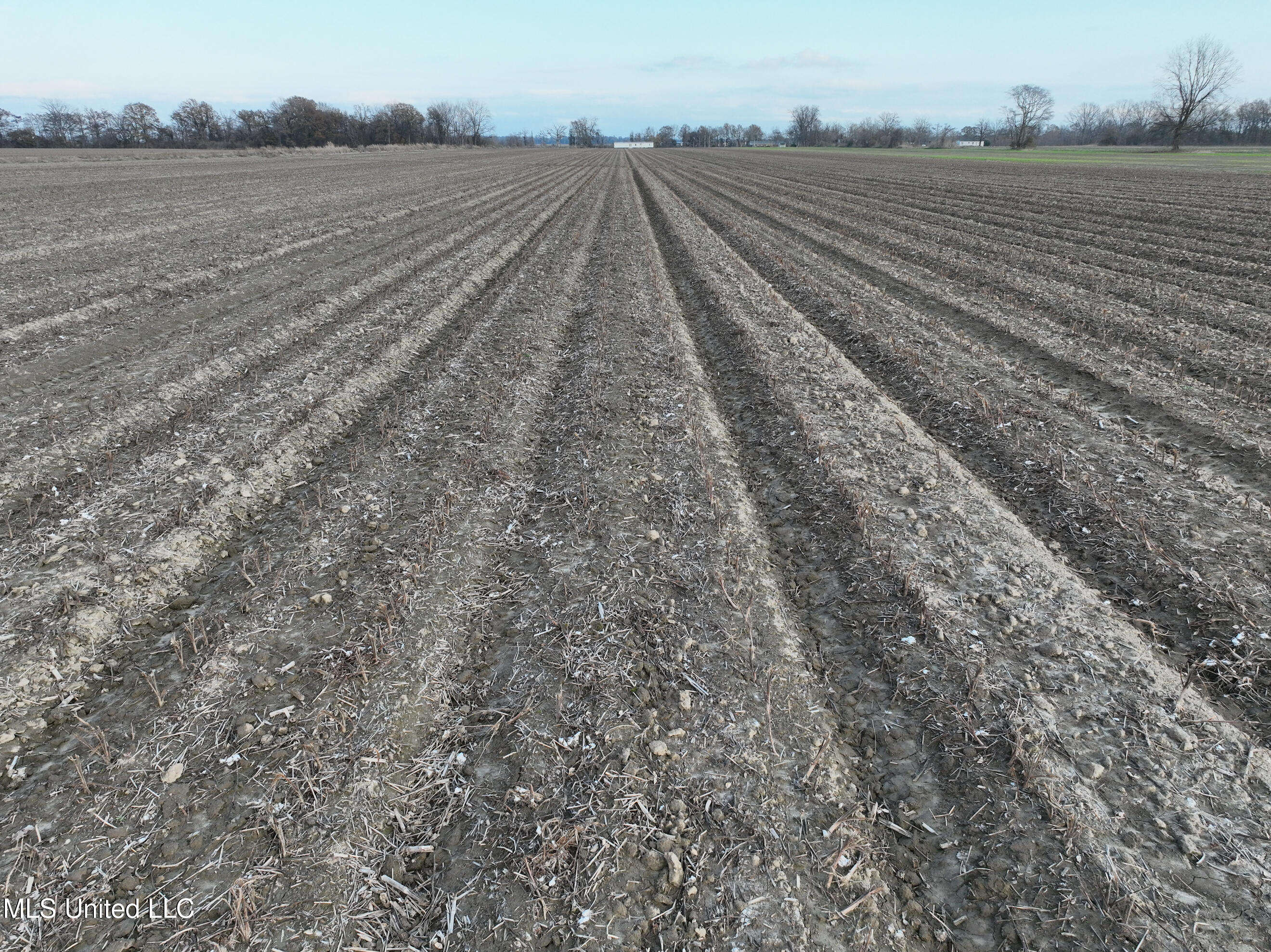 Bass Road Louise, MS 39097 - Photo 9 of 9 DJI_0145