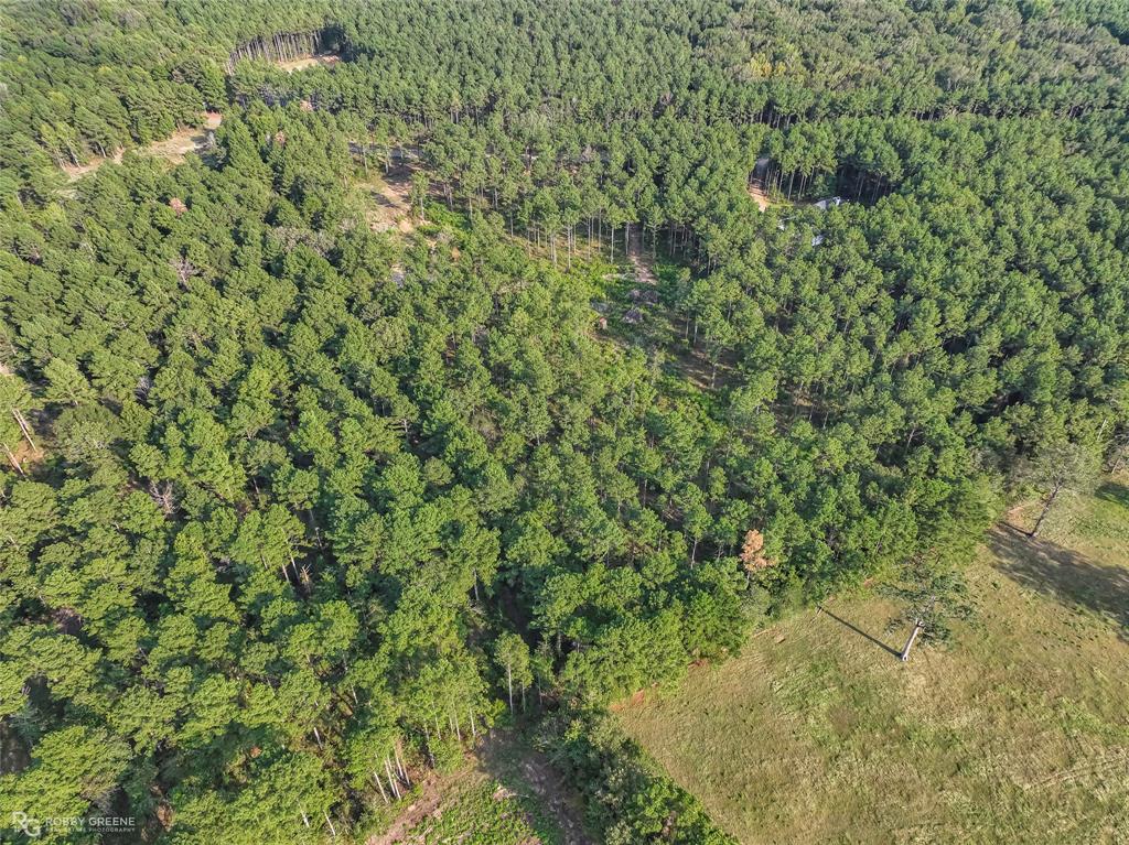 491 Cotton Valley Road Haughton, LA 71037 - Photo 9 of 17 Gallery Image 9