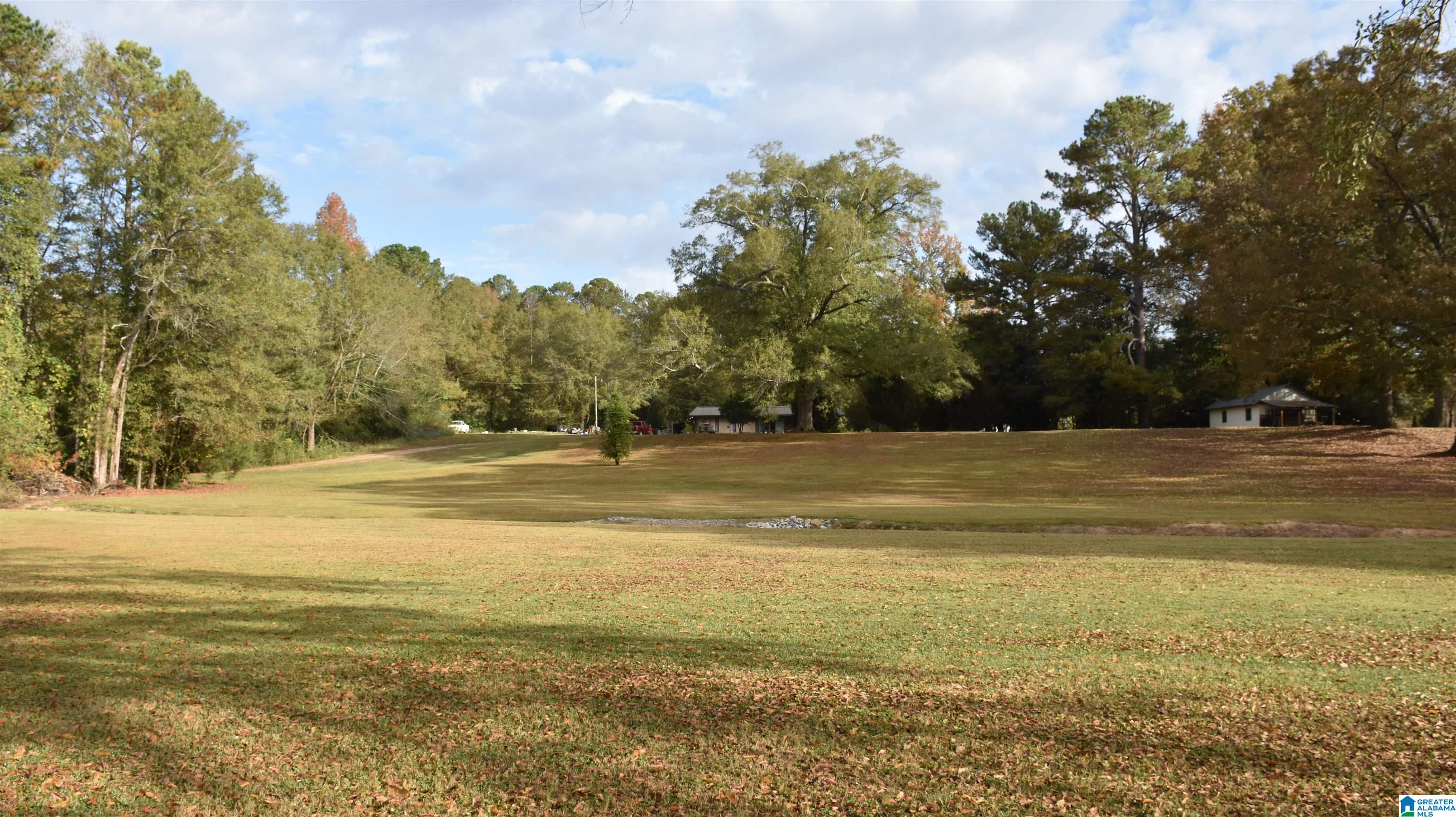 516 Odens Mill Road Sylacauga, AL 35150 - Photo 33 of 33