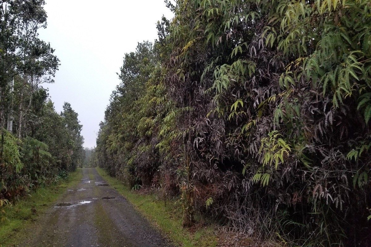8739 ʻUki Road Volcano, HI 96778 - Photo 1 of 2 Gallery Image 1