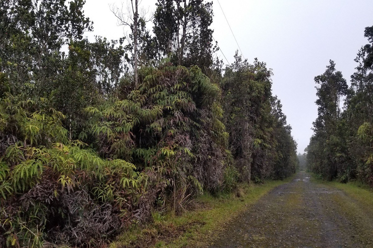 8739 ʻUki Road Volcano, HI 96778 - Photo 2 of 2 Gallery Image 2