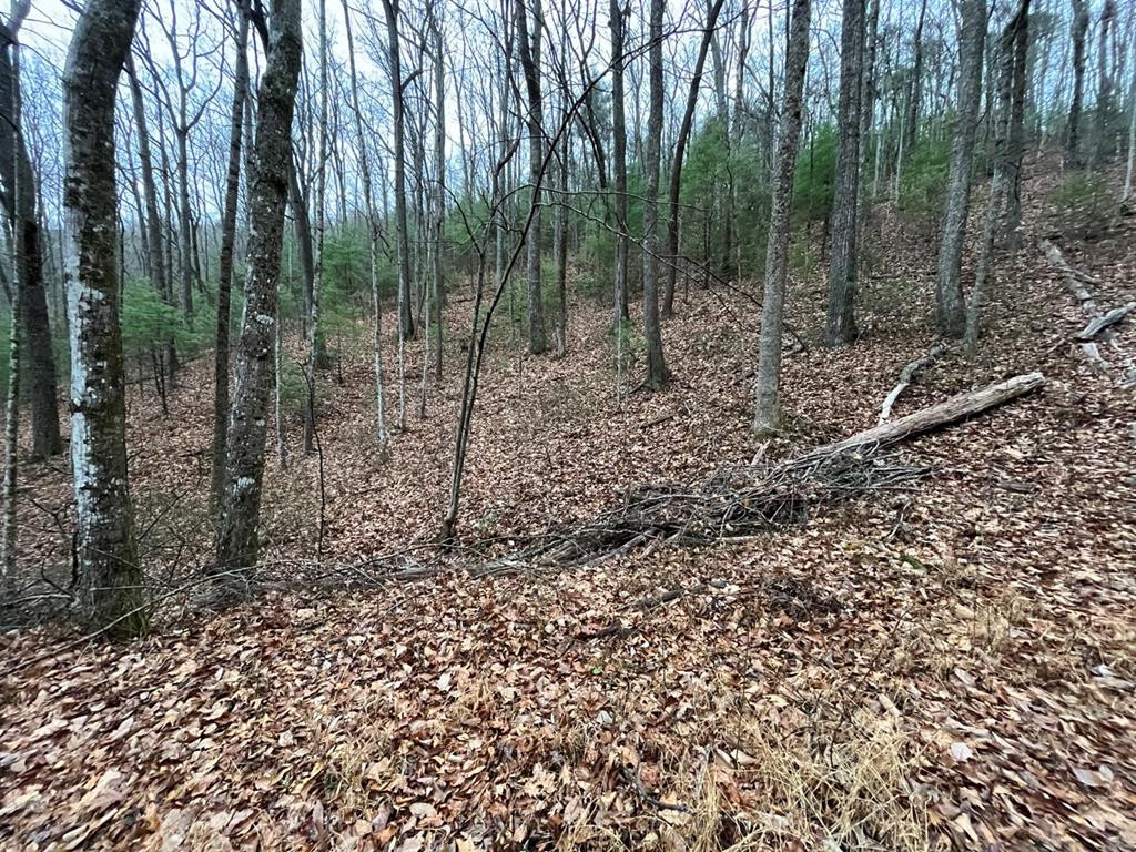 Tbd Burrell Mountain Road Murphy, NC 28906 - Photo 23 of 28