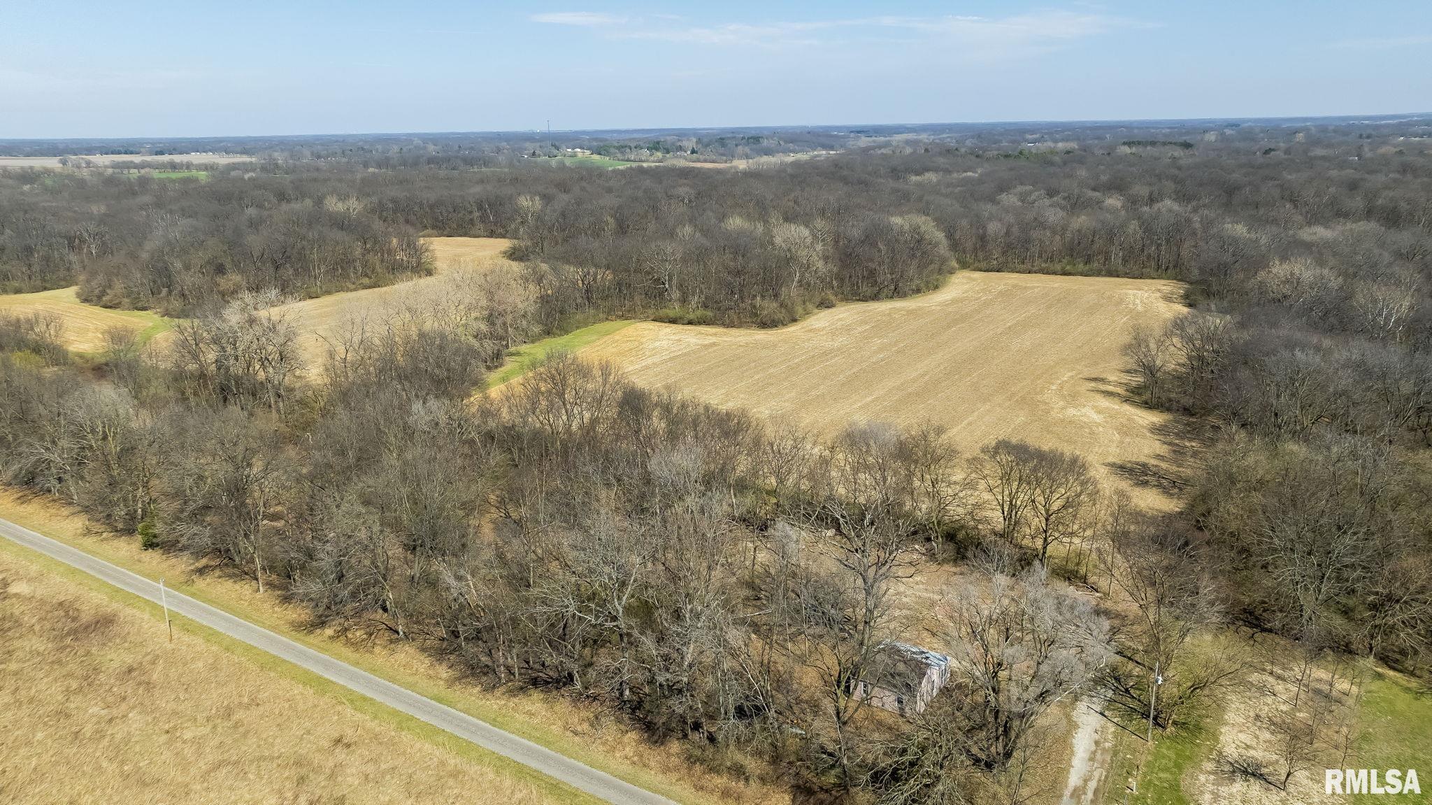 8543 Frey Road Pleasant Plains, IL 62677 - Photo 10 of 13