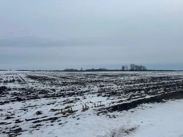 $495,000 | 36 Long Prairie, Long Prairie, MN 56347