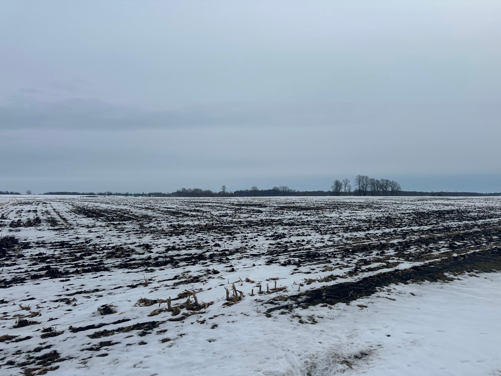 36 Long Prairie Long Prairie, MN 56347 - Photo 2 of 10
