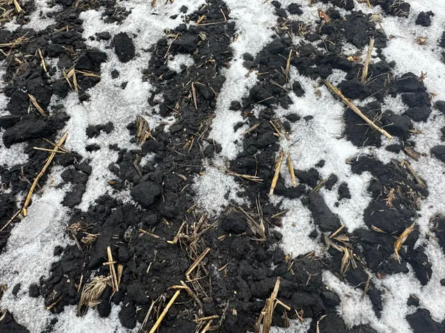 $495,000 | 36 Long Prairie, Long Prairie, MN 56347