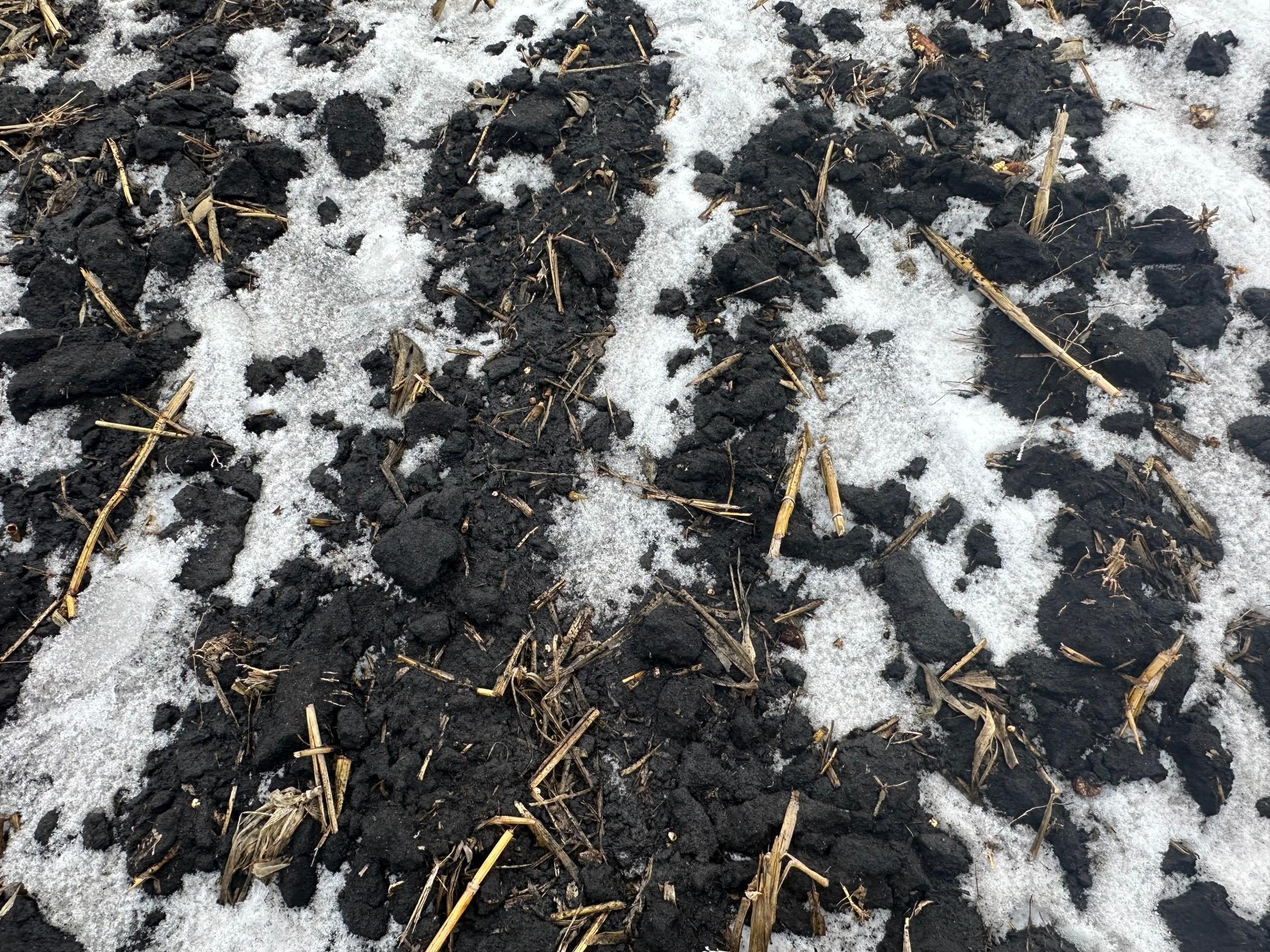 36 Long Prairie Long Prairie, MN 56347 - Photo 10 of 10