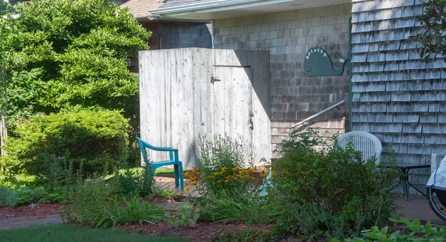 a view of a park with plants and trees