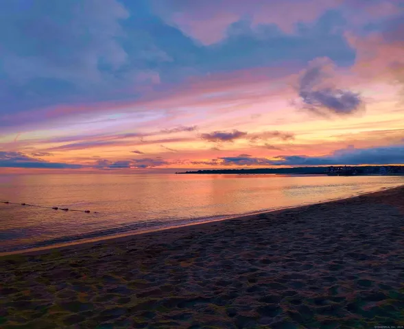 a view of a lake from a yard