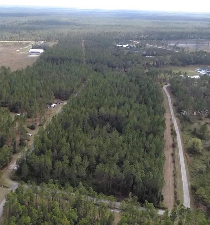 859 Wild Cur Road Pierson, FL 32180 - Photo 19 of 19 a view of a city