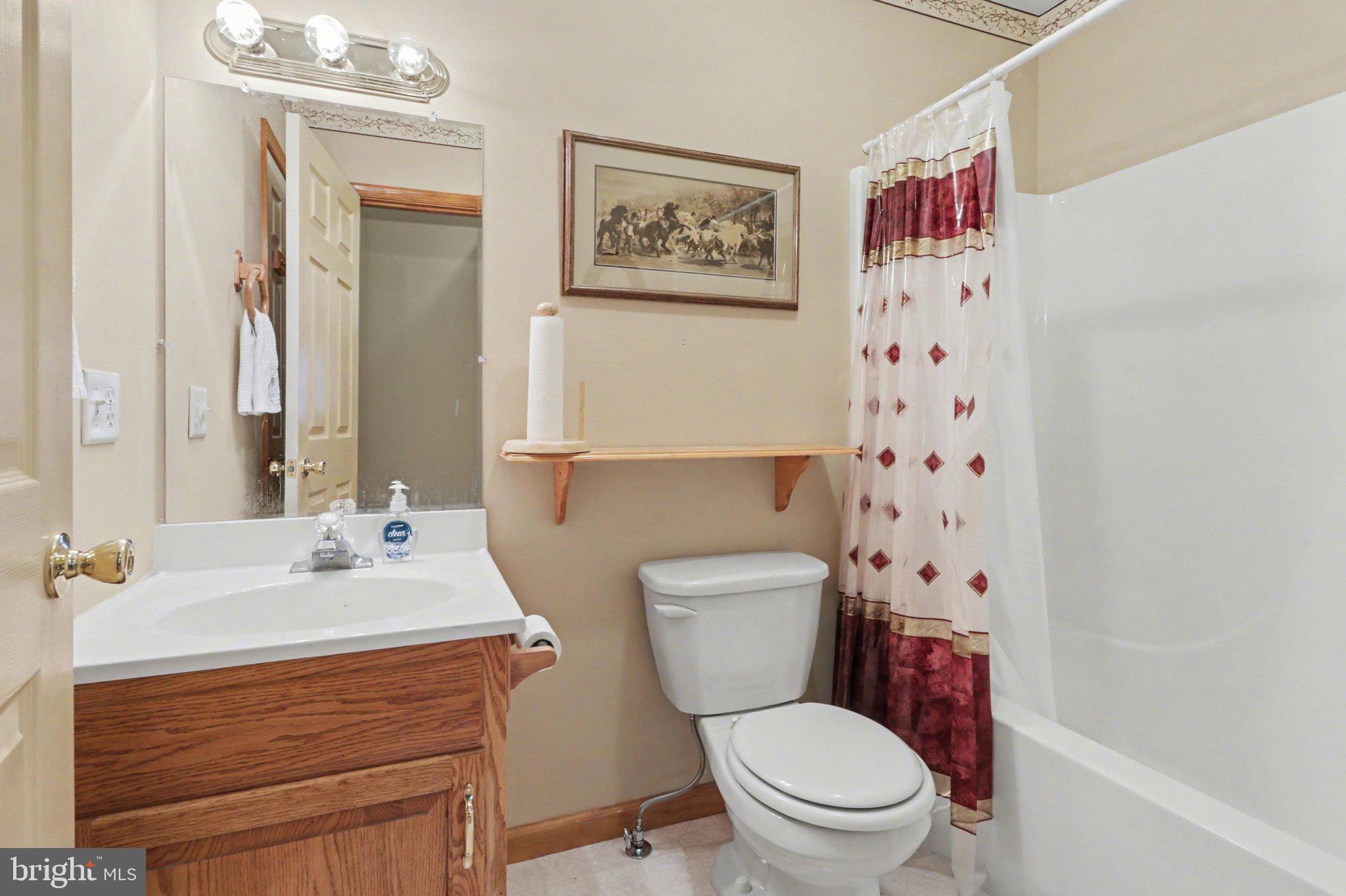 467 Beech Tree Street Shippensburg, PA 17257 - Photo 31 of 54 a bathroom with a toilet a sink and a mirror