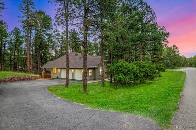 a green field with lots of trees