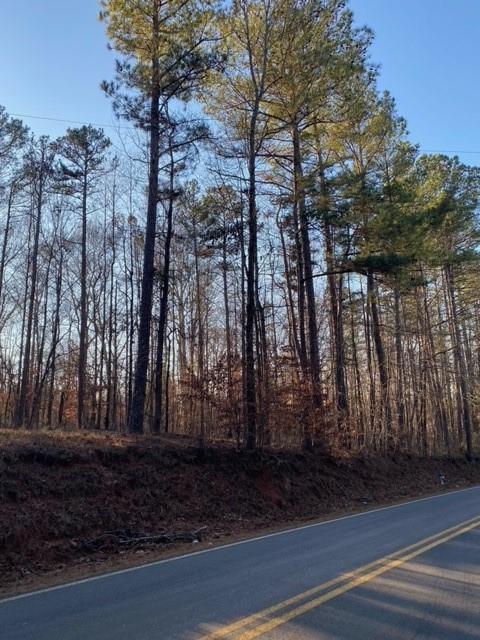2200 Lebanon Church Road Jefferson, GA 30549 - Photo 2 of 2 a view of outdoor space with lots of trees