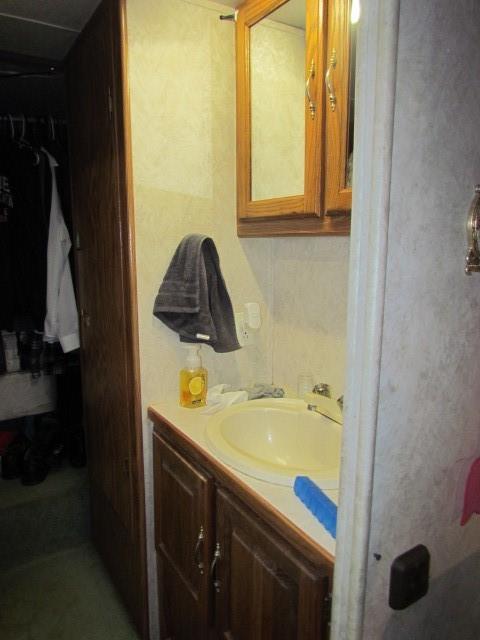 1593 Cheatham Ford Road Hiddenite, NC 28636 - Photo 14 of 36 a bathroom with a sink and a mirror