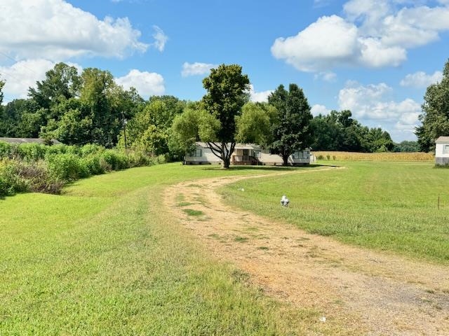 281 Pintail Circle Drummonds, TN 38023 - Photo 3 of 26 a view of a big yard with a large trees