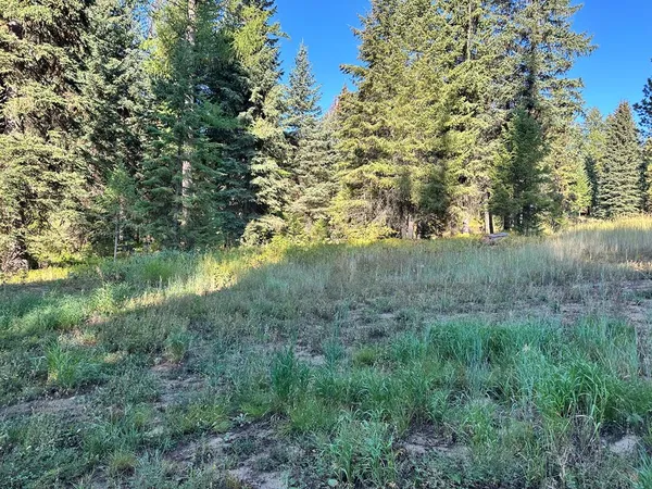 $220,000 | 17 Andy Lane, Unit 77, Donnelly, ID 83615