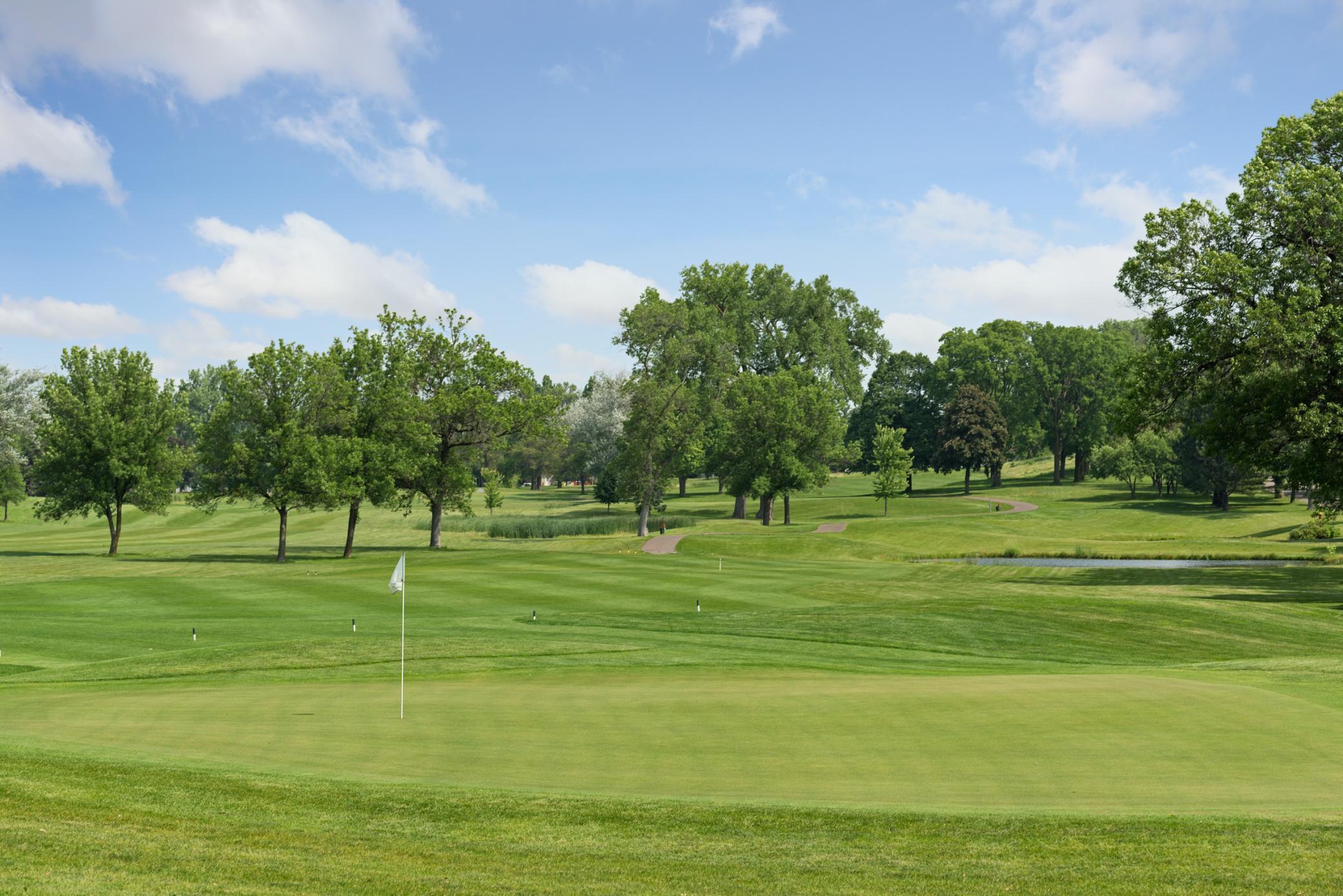 1181 Edgcumbe Road, Unit 501 St. Paul, MN 55105 - Photo 26 of 101