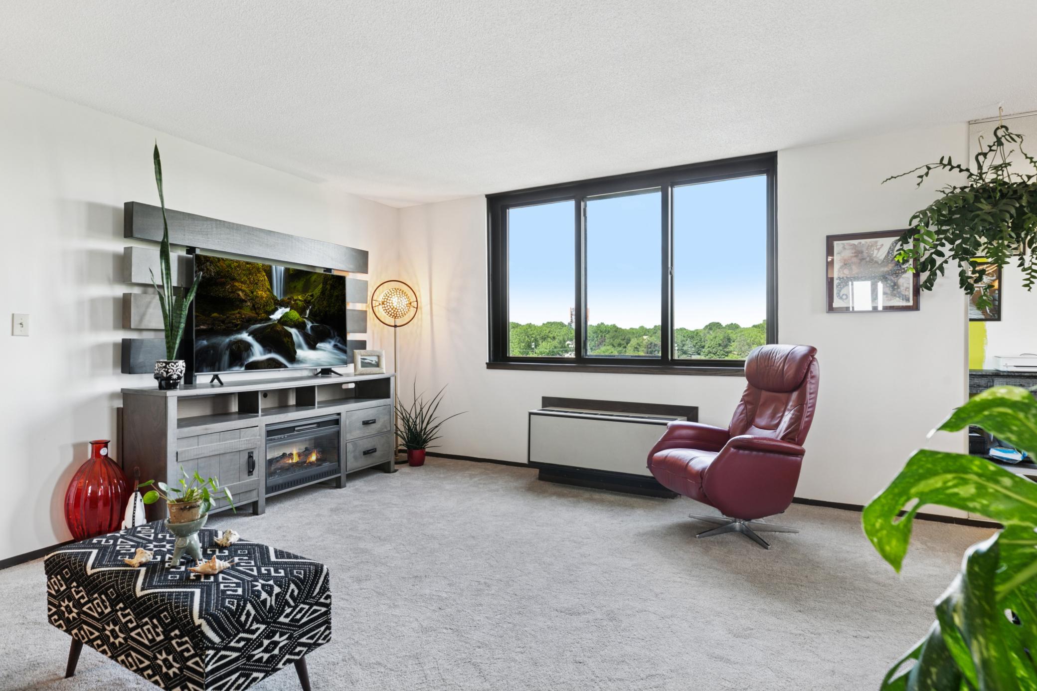 1181 Edgcumbe Road, Unit 501 St. Paul, MN 55105 - Photo 4 of 101