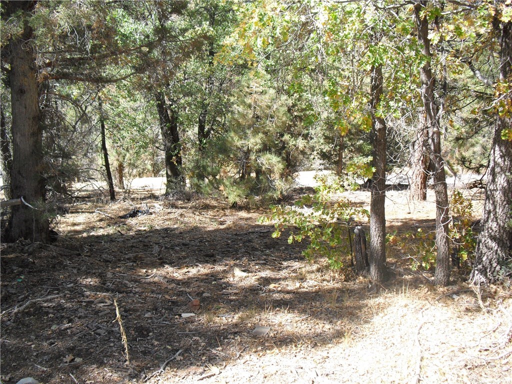 0 Inyo Sugarloaf, CA 92386 - Photo 3 of 7