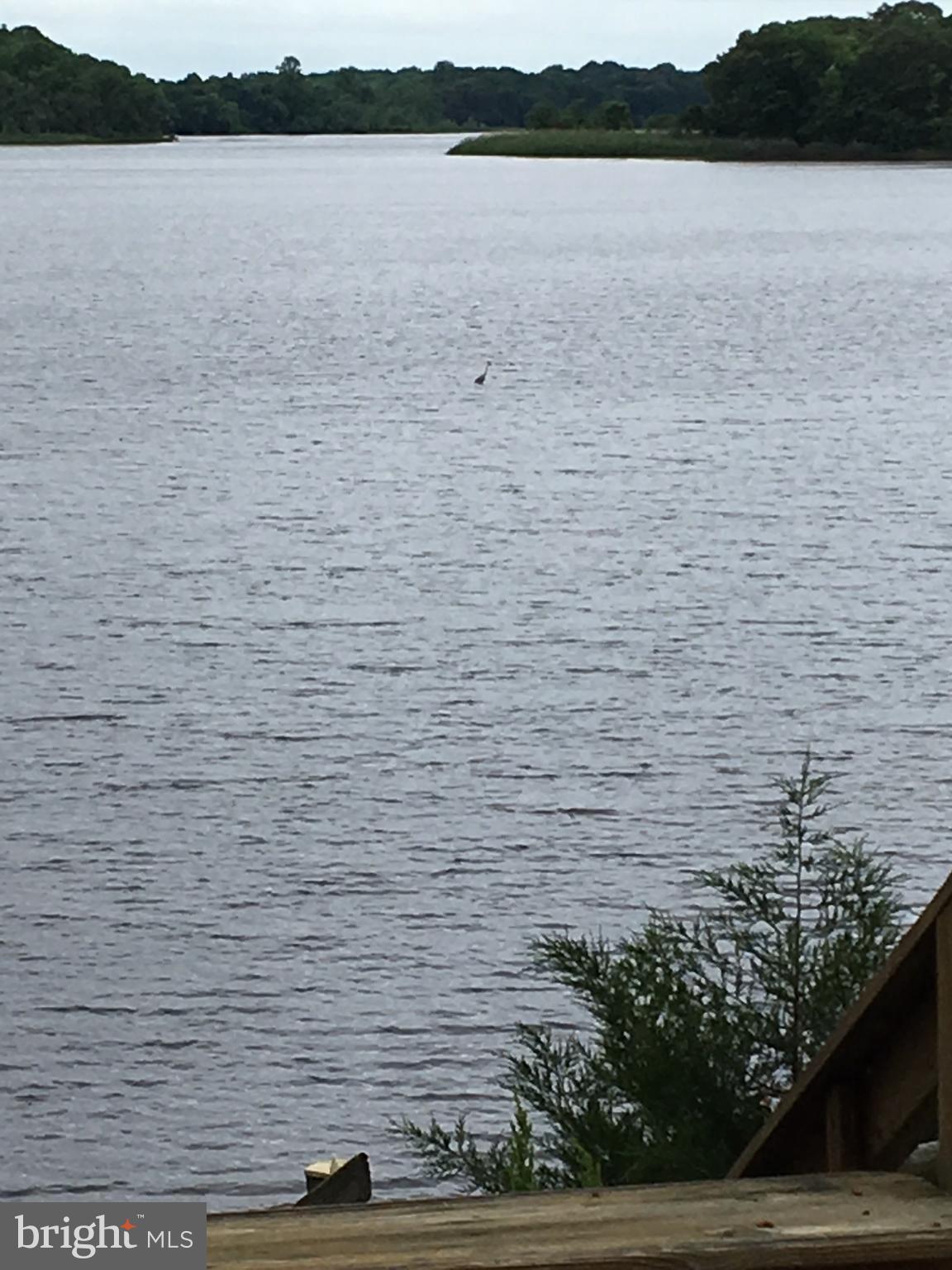 101 Shoals Road Crumpton, MD 21628 - Photo 27 of 34 View of the Chester River