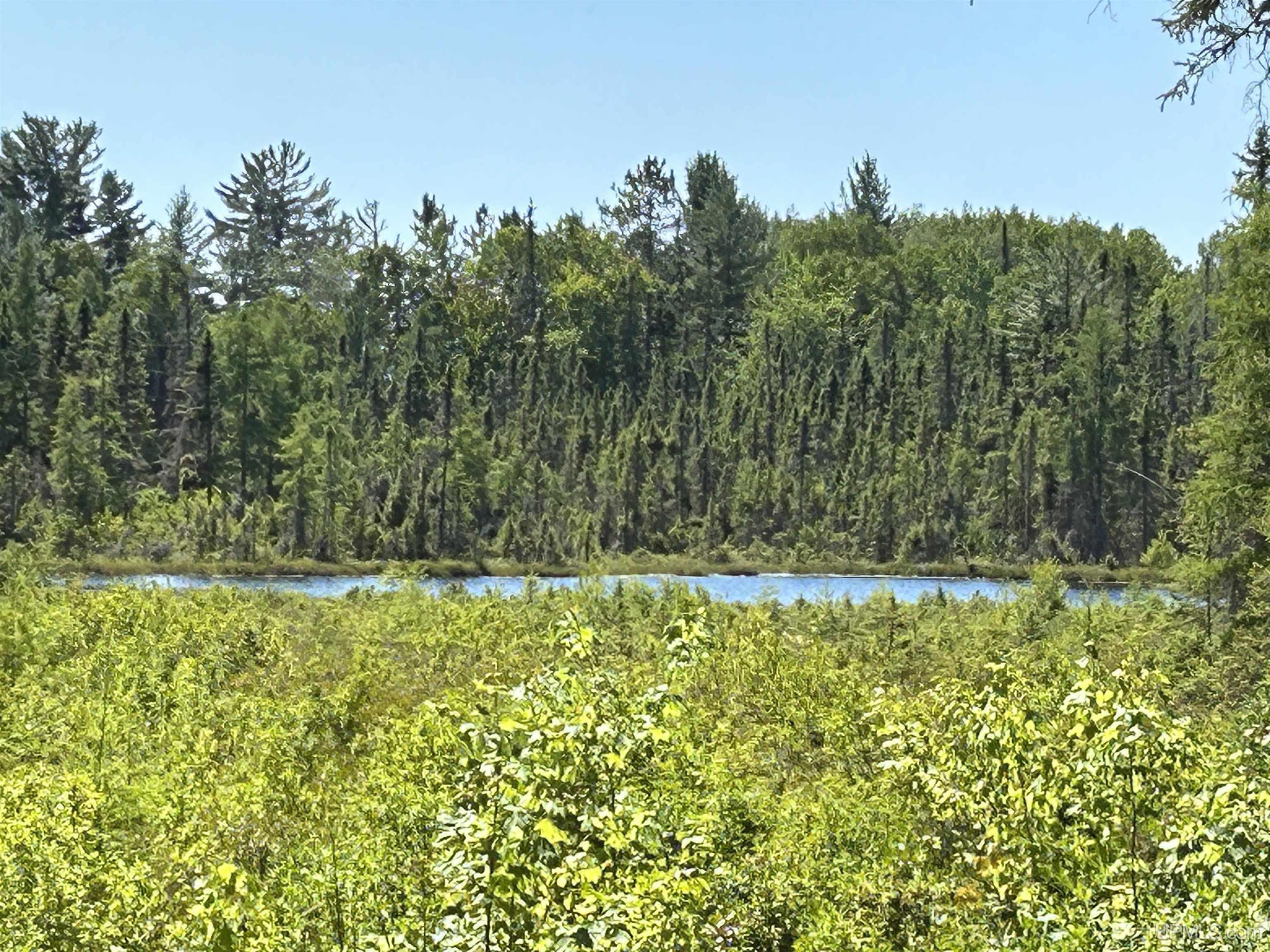 2650 East Co Road Little Lake, MI 49833 - Photo 3 of 40