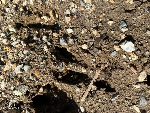 $165,452 | Tract#6402 Chance Road, Chipley, FL 32428