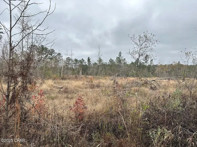 $165,452 | Tract#6402 Chance Road, Chipley, FL 32428