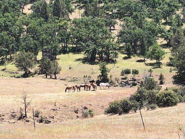 10200 Copco Road Ashland, OR 97520 - Photo 23 of 23 Additional Photo