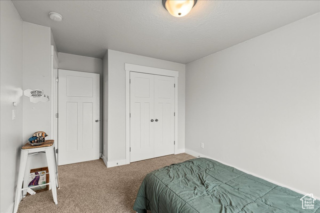 464 South Trejo Rdg Road Grantsville, UT 84029 - Photo 15 of 33 Bedroom with carpet, baseboards, a closet, and a textured ceiling