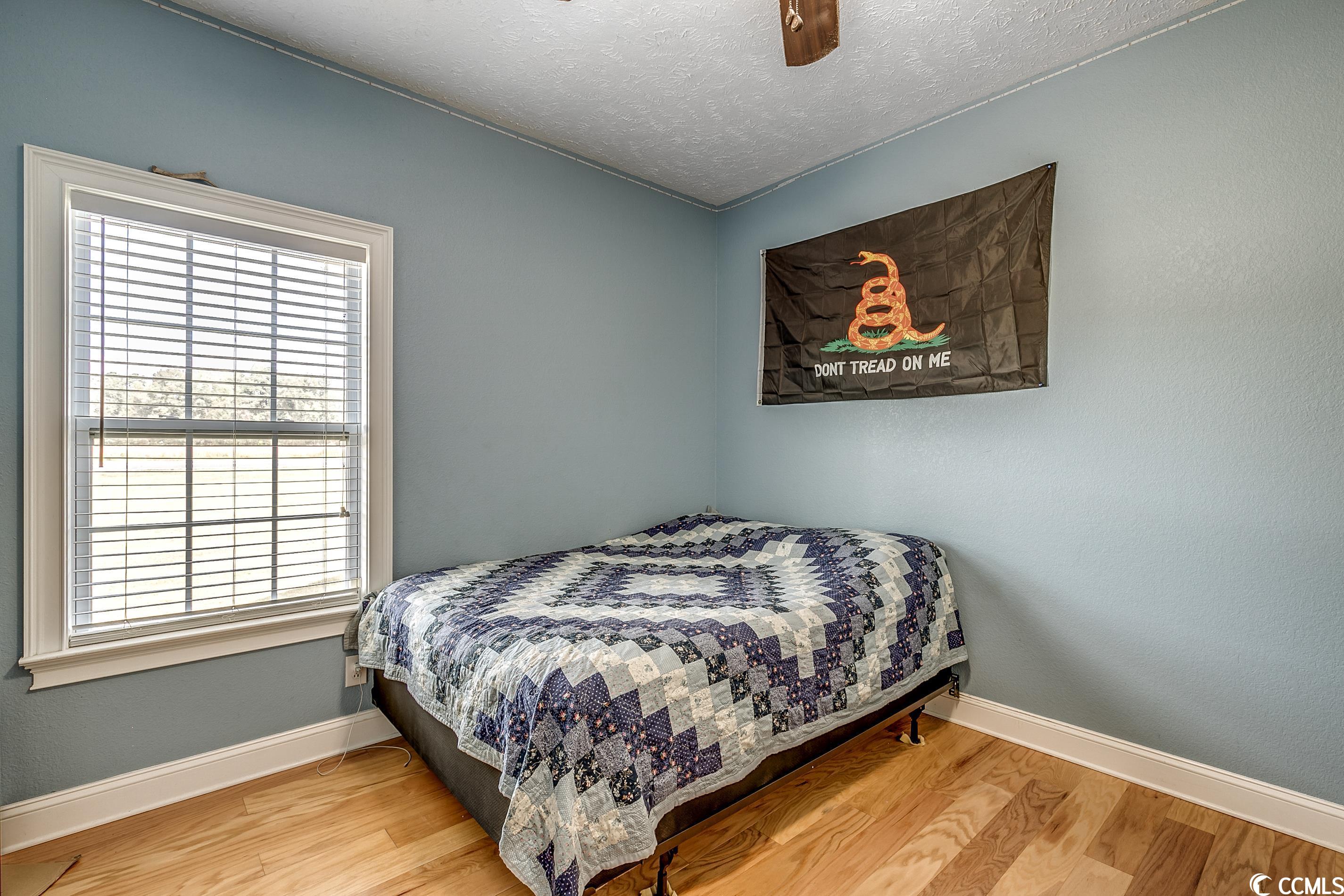 2907 Mt Zion Road Loris, SC 29569 - Photo 19 of 28 Gallery Image 19