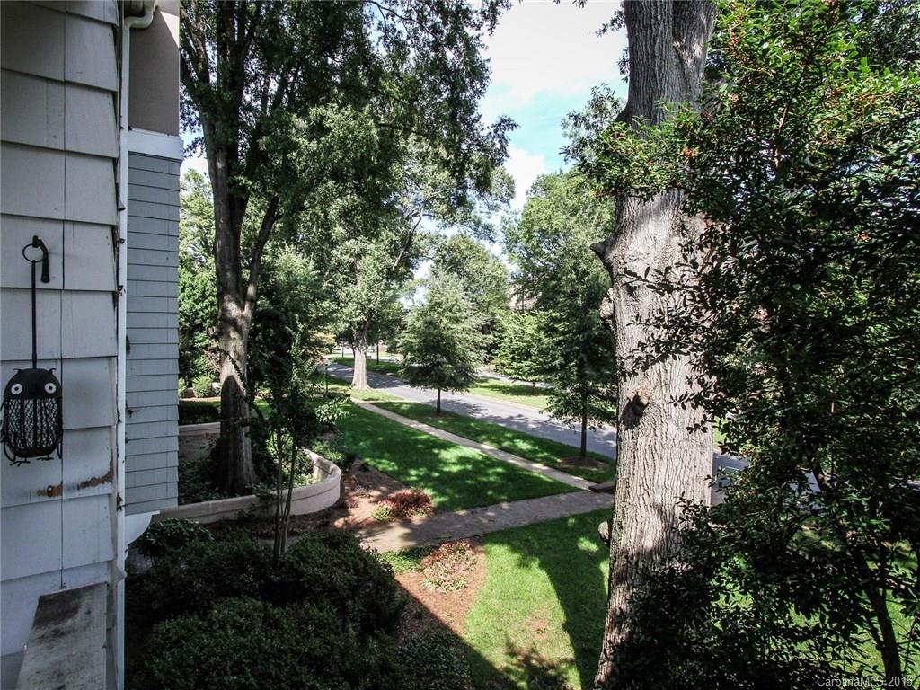 318 Queens Road, Unit 5 Charlotte, NC 28204 - Photo 24 of 24 a view of a back yard