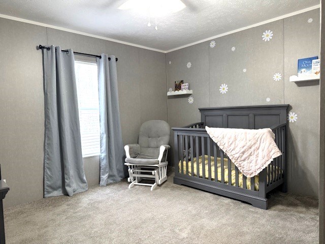 164 Alexander Lane Fortson, GA 31808 - Photo 14 of 30