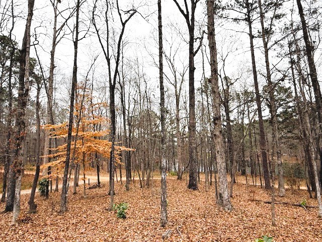 164 Alexander Lane Fortson, GA 31808 - Photo 4 of 30