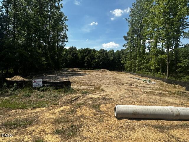78 Deep Blue Trail Middlesex, NC 27557 - Photo 2 of 41