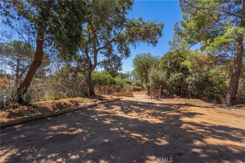 3430 Chaney Trail Altadena, CA 91001 - Photo 24 of 50 a view of a yard with a tree