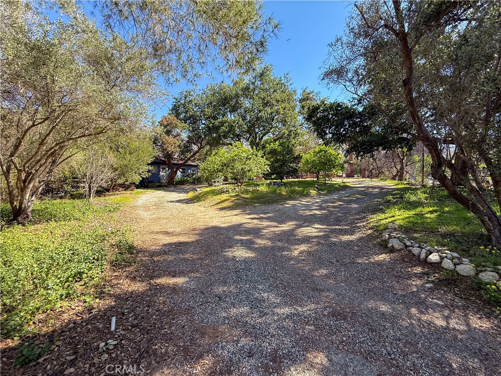 3430 Chaney Trail Altadena, CA 91001 - Photo 39 of 50 a view of a yard with a tree