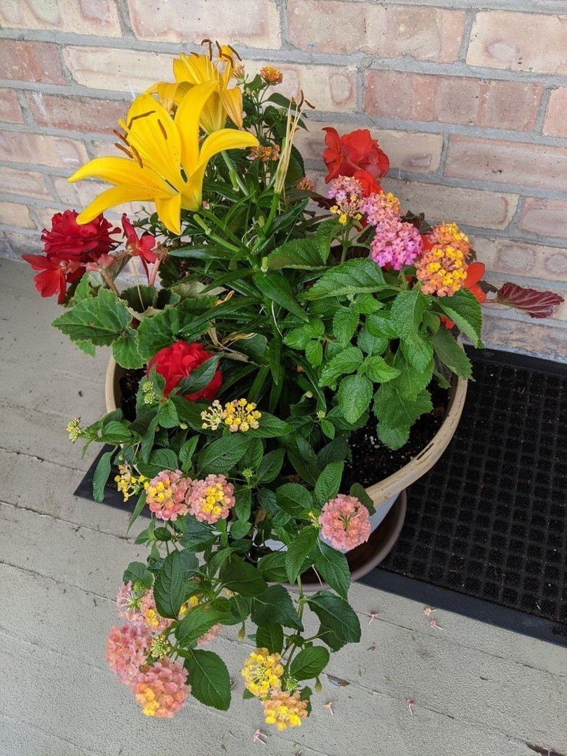 2238 Central Street, Unit 3 Evanston, IL 60201 - Photo 15 of 16