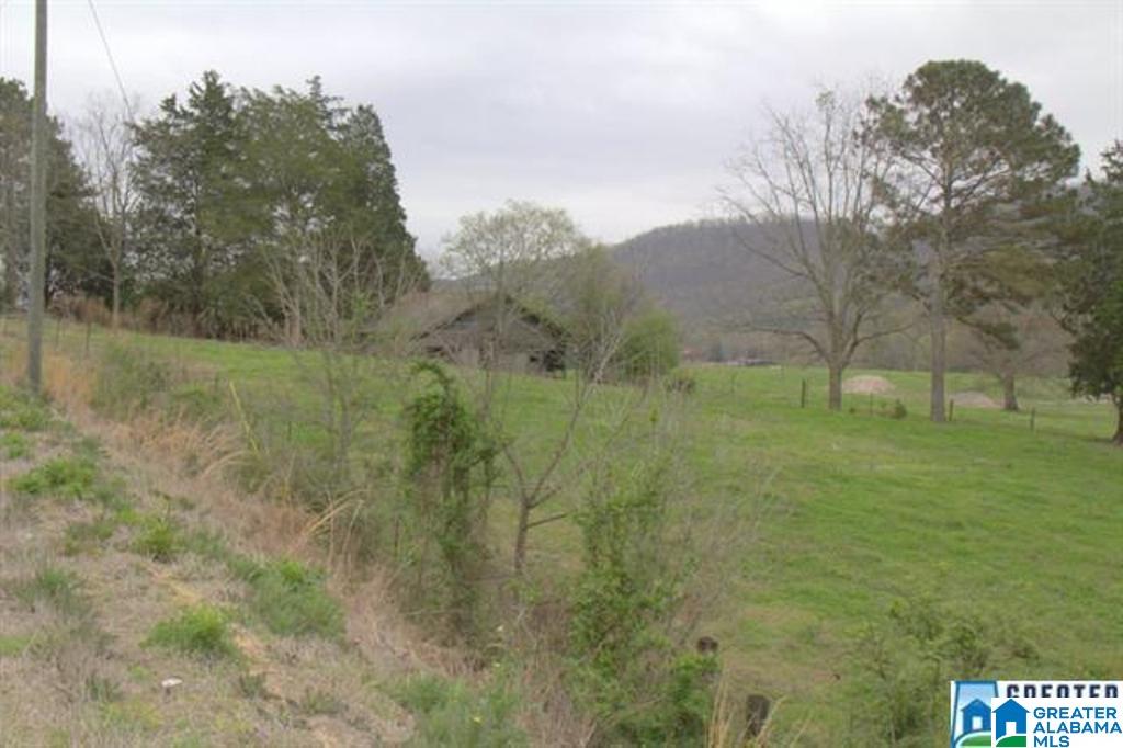 3054 Greensport Road, Unit 141 ACRES Ashville, AL 35953 - Photo 20 of 23