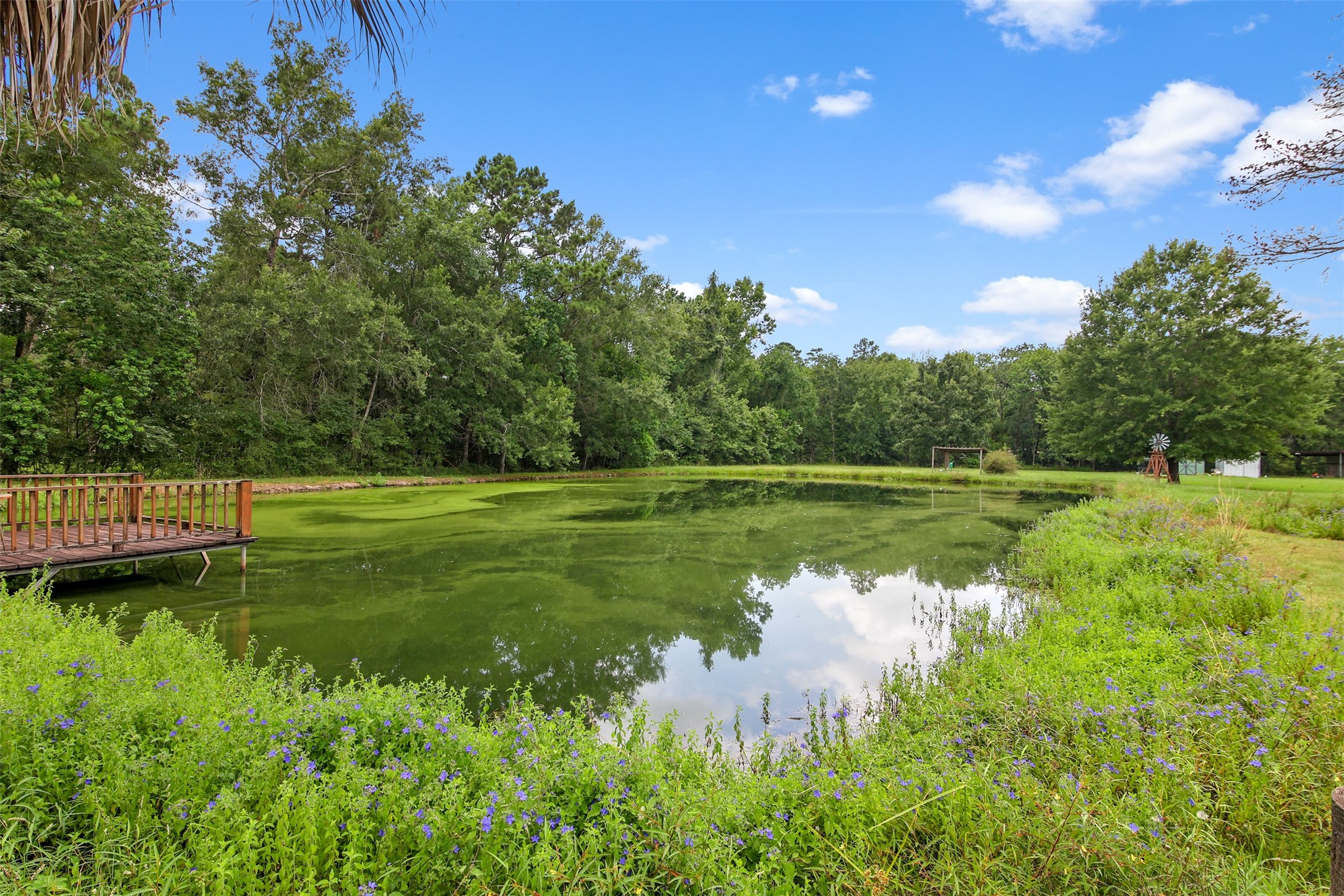 11692 Clark Lane Conroe, TX 77385 - Photo 25 of 35 View of the stocked pond located on the property. This pond has both bass and catfish and is shared with the neighbor.