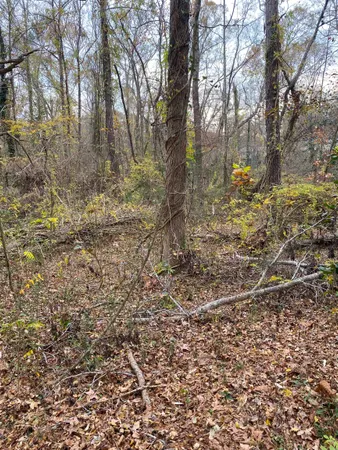 $29,900 | 0 Oaktree Road, Spartanburg, SC 29303
