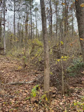 $29,900 | 0 Oaktree Road, Spartanburg, SC 29303