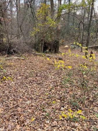 $29,900 | 0 Oaktree Road, Spartanburg, SC 29303