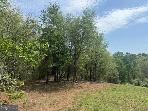a view of outdoor space with trees all around