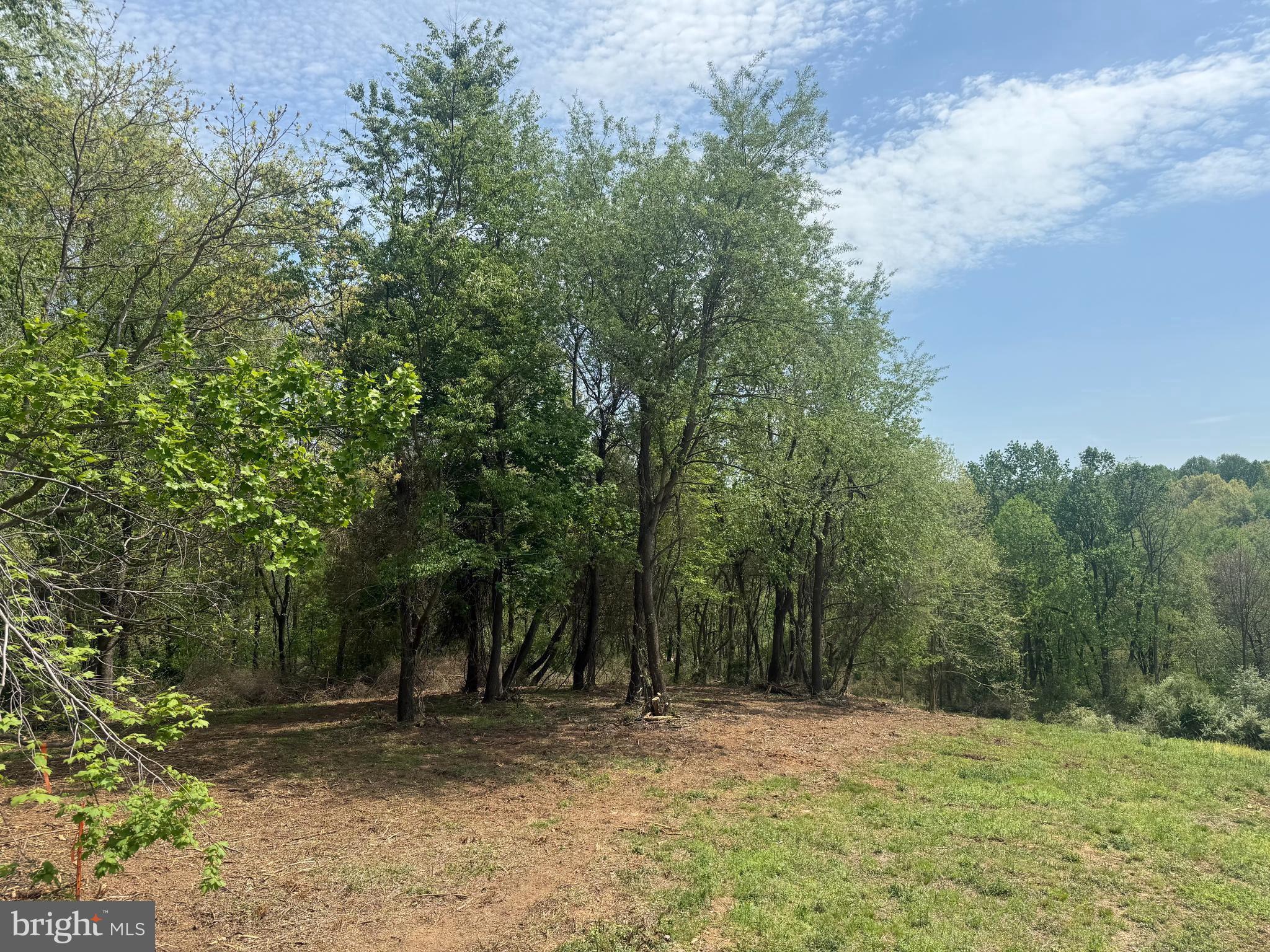 0 Brenneman Road, Unit LOT 2 Glen Rock, PA 17327 - Photo 3 of 5 a view of outdoor space with trees all around