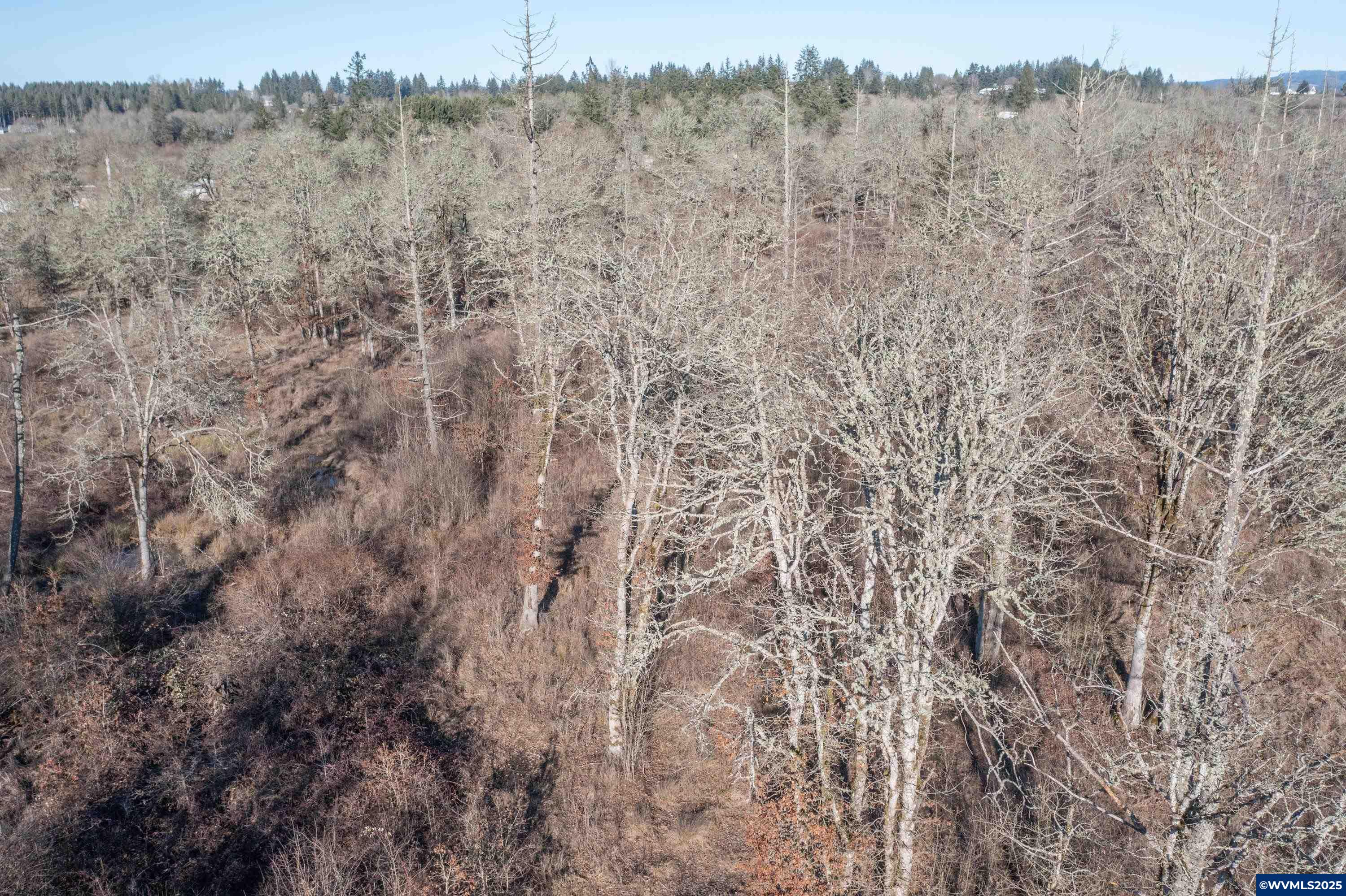 35388 Richardson Gap Road Lebanon, OR 97355 - Photo 22 of 30