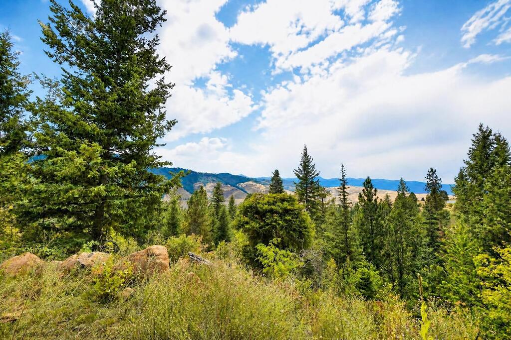 380 Denny Creek Road Pollock, ID 83547 - Photo 10 of 20 View from the Property