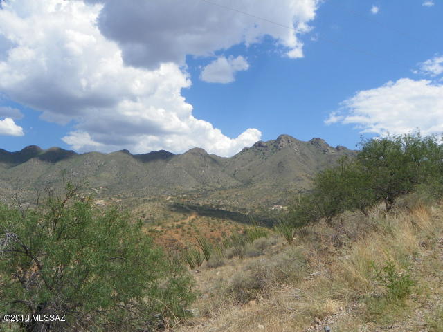 1571 Camino Esturion, Unit 46 Rio Rico, AZ 85648 - Photo 4 of 4