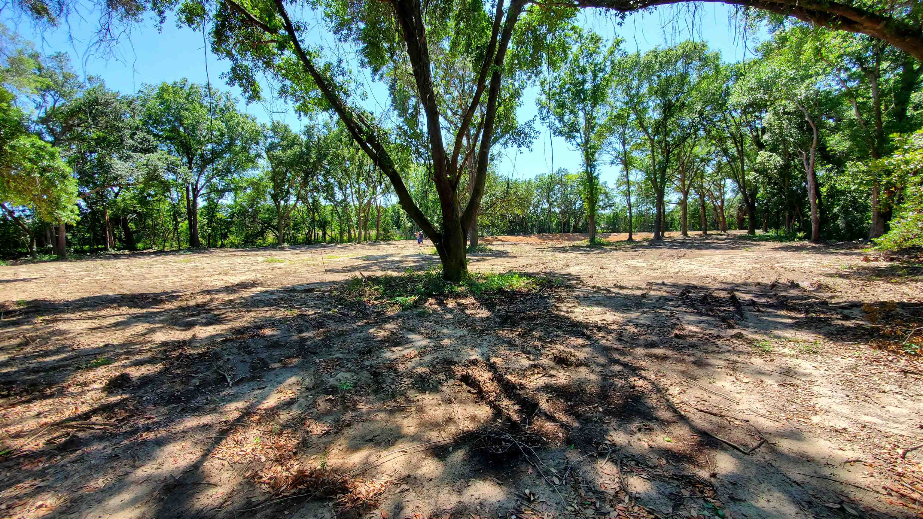 19800 Chestnut Drive Foley, AL 36535 - Photo 1 of 7