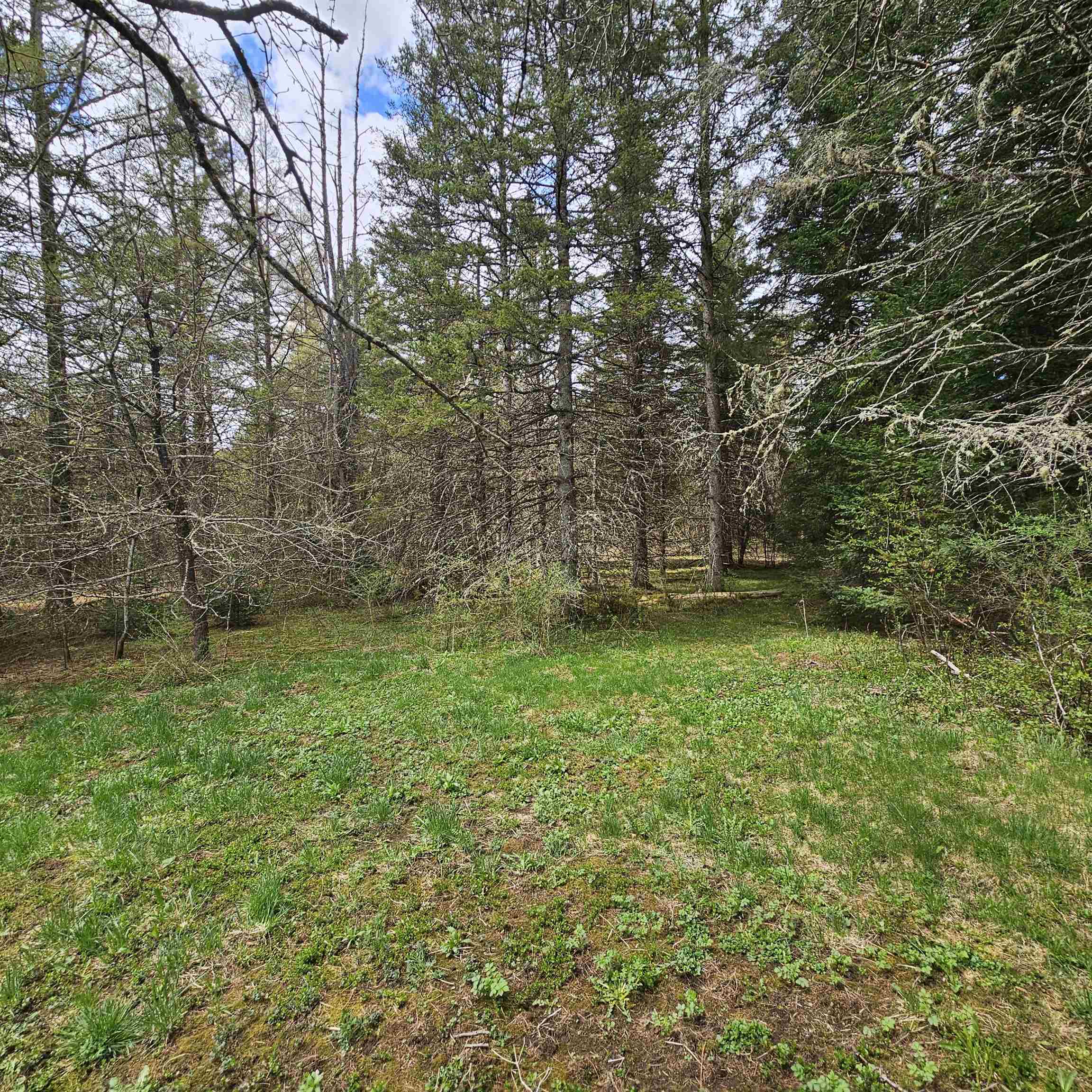 3839 Us Route 5 Sutton, VT 05867 - Photo 2 of 10